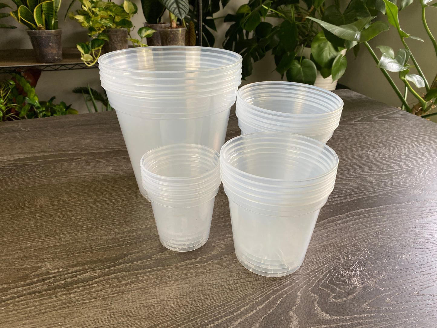 20 Pack BEST BUNDLE Clear Nursery Pots 5 – 4” Pots, 5 - 5" Pots, 5 - 6" Pots and 5 – 8”