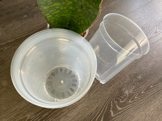 8 Inch Clear Nursery Pots - 5 Pack