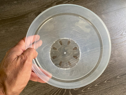 8 Inch Sturdy Root-Check Clear Pots - 5 Pack