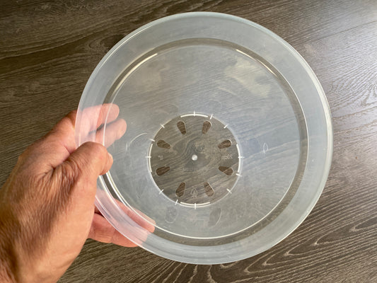 10 Inch Sturdy Root-Check Clear Pots - 5 Pack