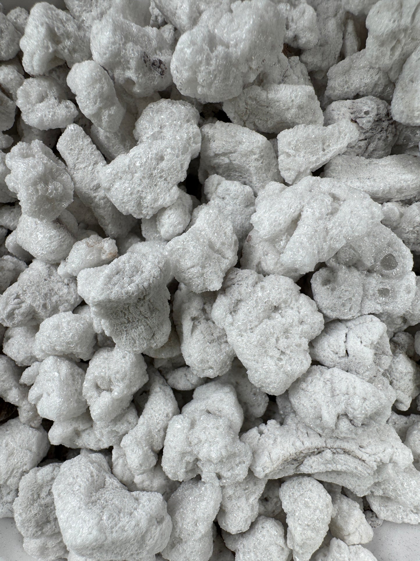 Super Coarse Chunky Perlite #4 - Includes 3 FREE 8" Sturdy Clear Pots with Every 8 Qt Bag