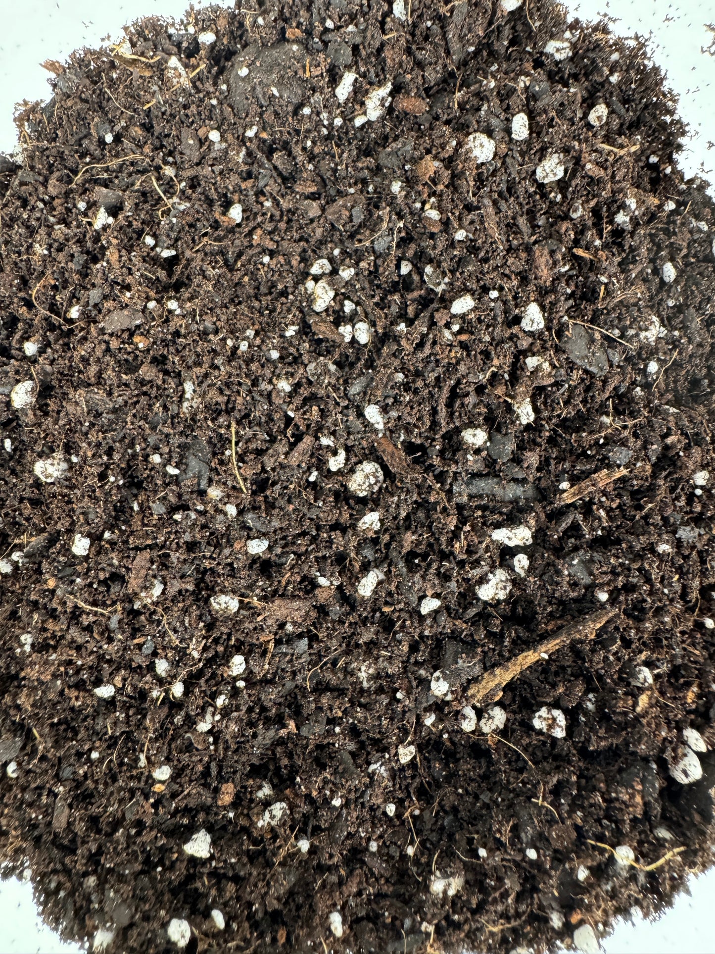 Germination Premium Mix- Includes 3 FREE 8" Sturdy Clear Pots with Every 8 Qt Bag