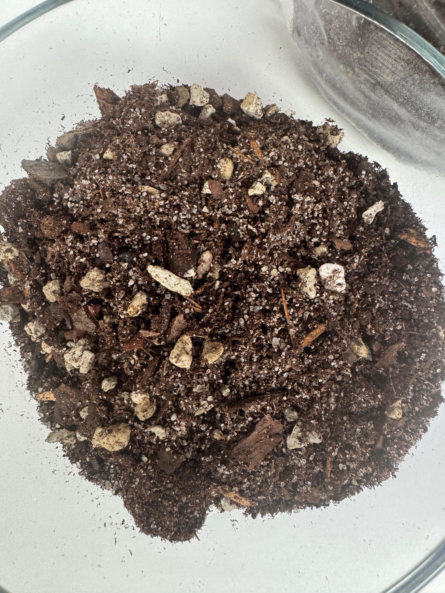 Succulent Premium Potting Mix