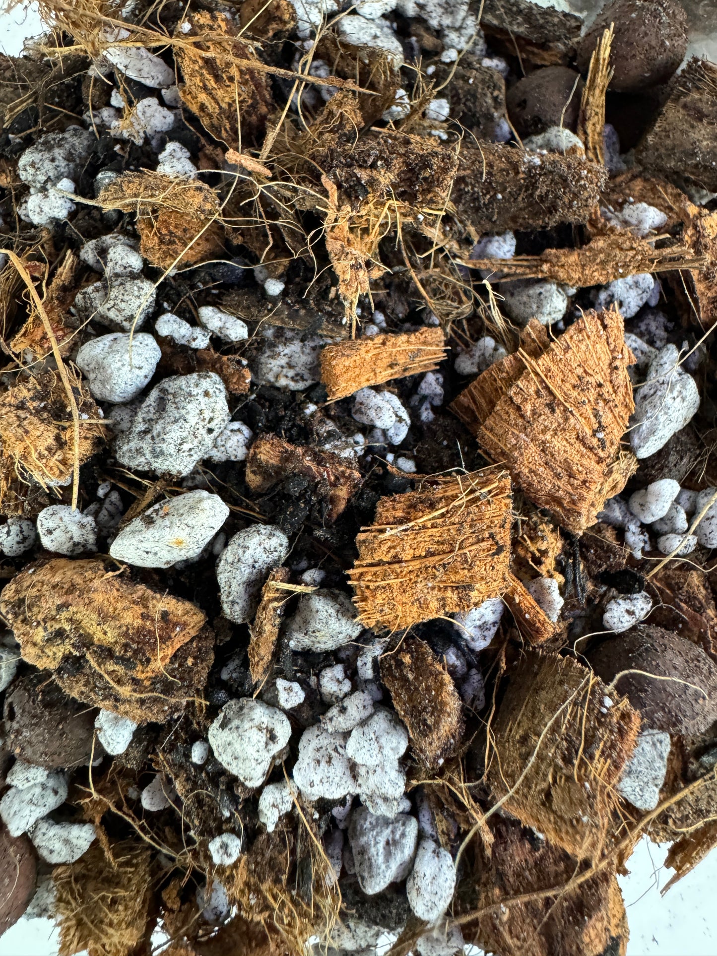 Chunky Houseplant Premium Potting Mix- Includes 3 FREE 8" Sturdy Clear Pots with Every 8 Qt Bag