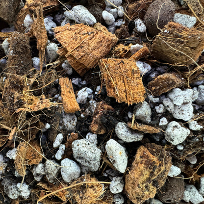 MonstroFarm Aroid Repot and Reset Kit - Built for Healthy Roots and Zero Guessing