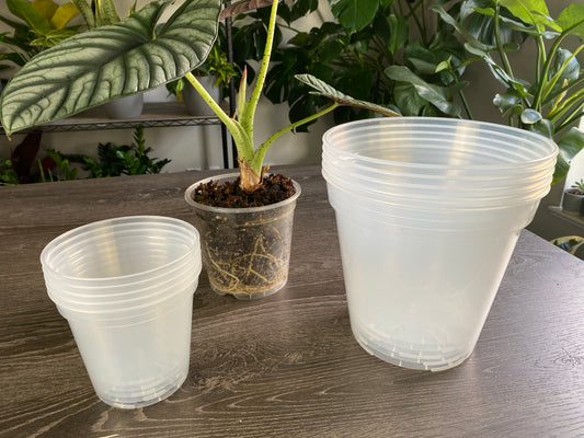 10 Pack 5" and 8" BUNDLE, Clear Nursery Pots 5 - 5" Pots and 5 - 8"